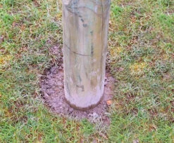 13ft 1 / 4m Wooden Shade Sail Pole With Eyebolt Screw - 12cm Diameter" -Primrose Awnings pr0000005908 card6 lg